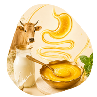 Supports Healthy Digestion